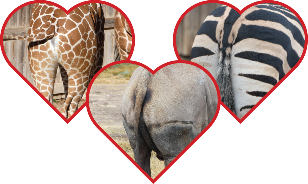 ValentinesDay Digital 2 42