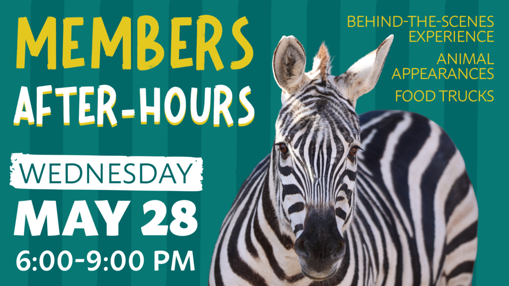 Membership AfterHours Digital Common 01