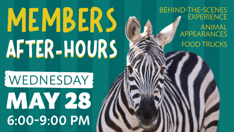Membership AfterHours Digital Common 01